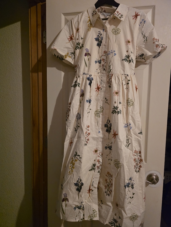Baltic Born Dresses & Skirts - Baltic Born Cream Floral Button-Front Midi Dress
